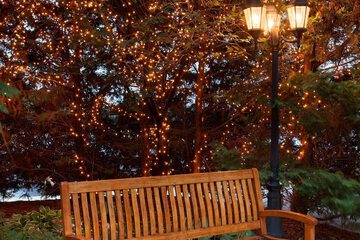 Outdoor wedding area