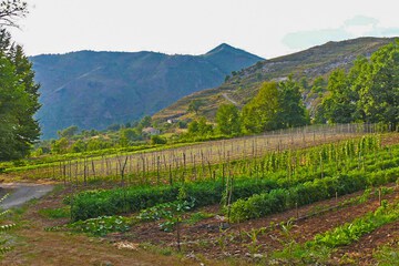 Land view from property