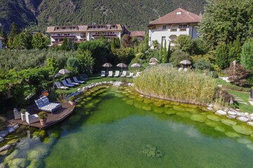 Natural pool