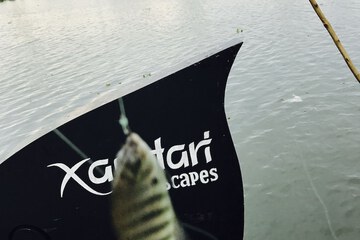 Fishing