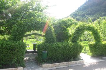 Photo 38