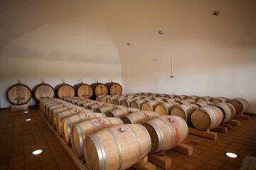 Winery
