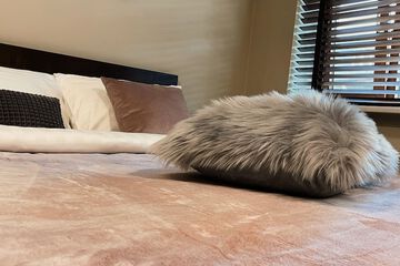 Photo 131
