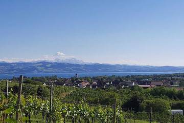 Land view from property