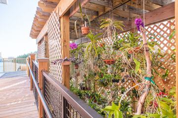 Hotel Exterior 117 of 132