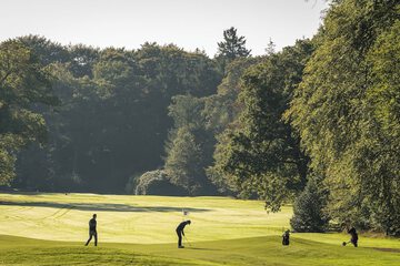 Golf view