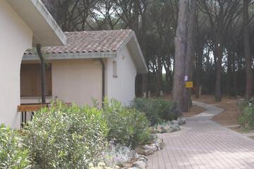 Photo 35