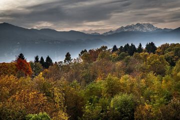Mountain view