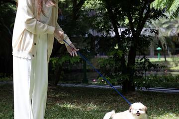 Pet-friendly
