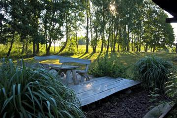 Photo 27