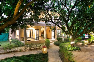 Garden view