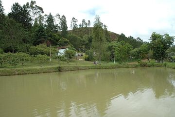 Lake
