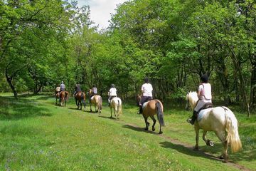 Horseback riding