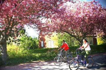 Bicycling