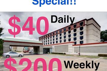 Signature Hotel