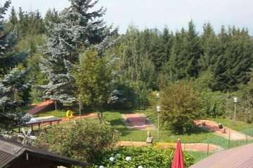 Mini-golf