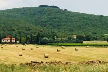Land view from property