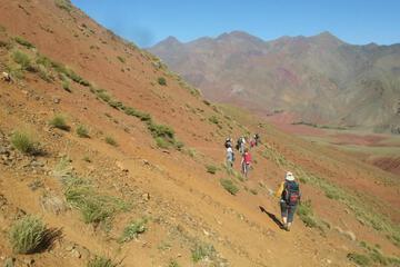 Photo 35
