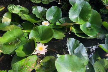 Photo 49