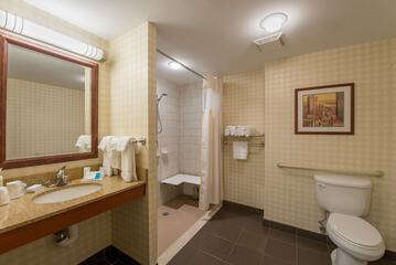 Bathroom shower