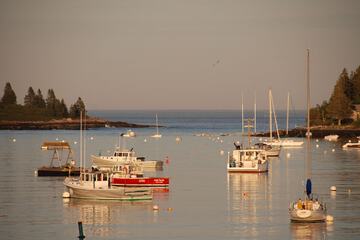 Dock