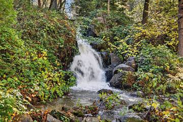 Outdoor wedding area