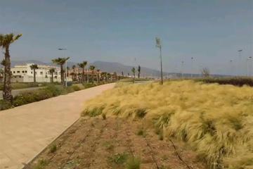 outside