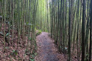 Hiking