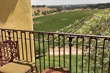 Vineyard view