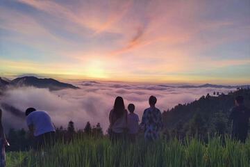 Ecotours