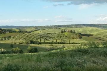 Photo 46