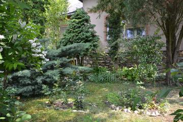 Photo 45