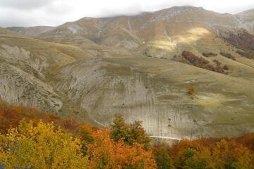 Photo 44