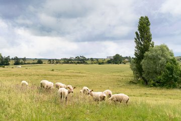 Ecotours