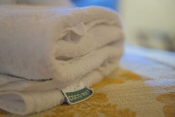 Cleanliness standards