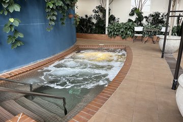 Indoor spa tub