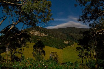 Land view from property