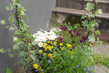 Photo 64