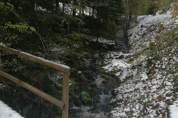 Hiking