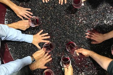 Winery