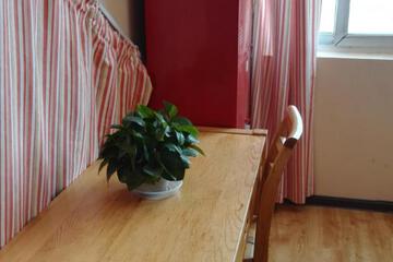 Photo 38