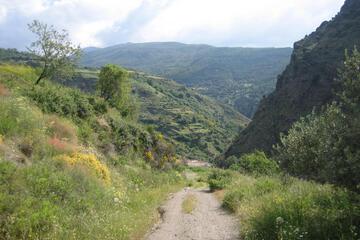Photo 30