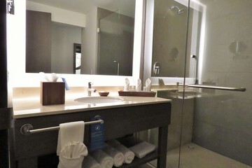 Bathroom shower