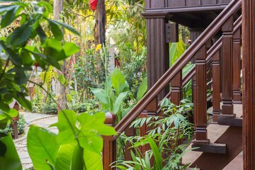 Garden view