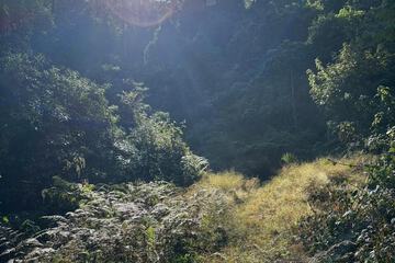 Hiking
