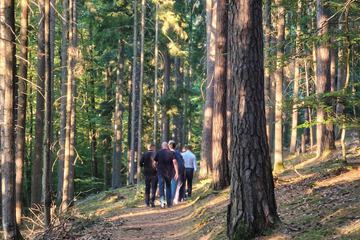 Hiking