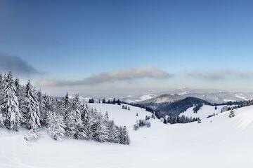 Skiing