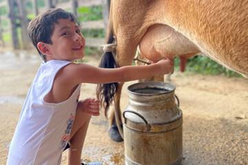 Children's activities