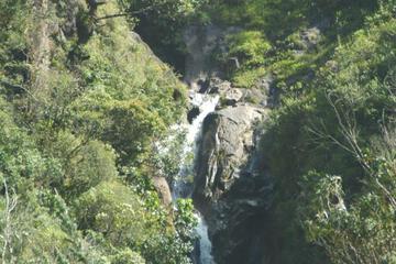 Photo 52