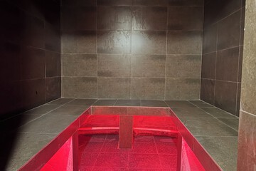 Steam room